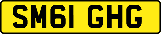 SM61GHG