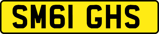 SM61GHS