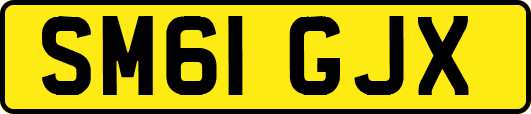 SM61GJX