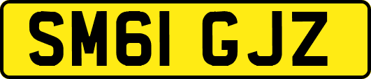 SM61GJZ