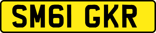SM61GKR