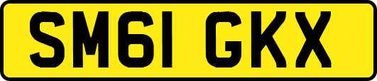 SM61GKX