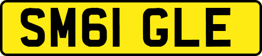SM61GLE