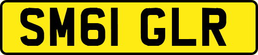 SM61GLR