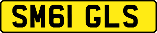 SM61GLS