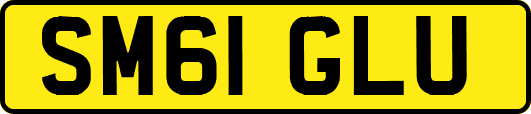 SM61GLU