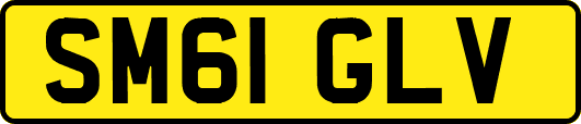 SM61GLV