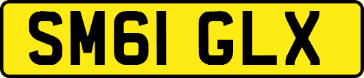 SM61GLX