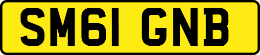 SM61GNB