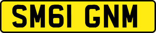SM61GNM