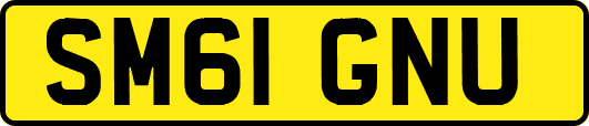 SM61GNU