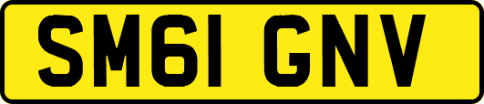 SM61GNV