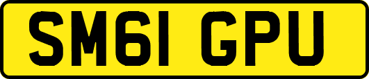 SM61GPU