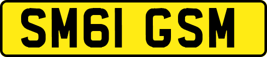 SM61GSM