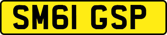 SM61GSP