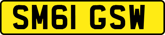 SM61GSW
