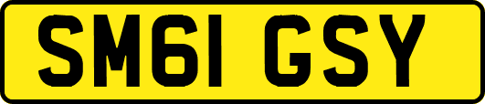 SM61GSY