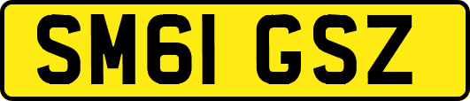 SM61GSZ