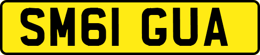 SM61GUA