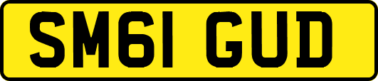 SM61GUD