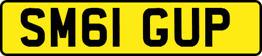 SM61GUP