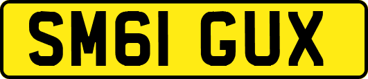 SM61GUX