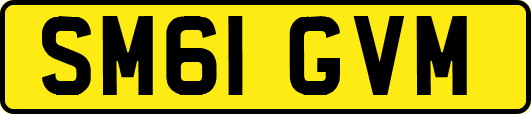 SM61GVM