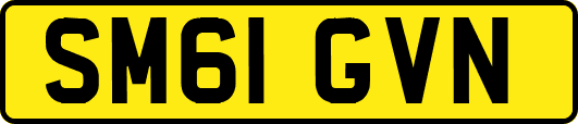 SM61GVN