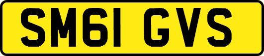 SM61GVS