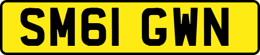 SM61GWN