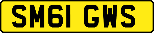 SM61GWS