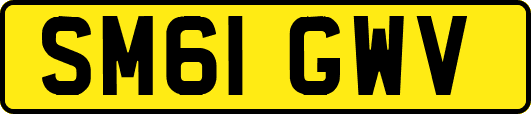 SM61GWV