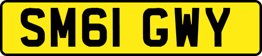 SM61GWY