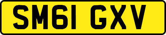 SM61GXV