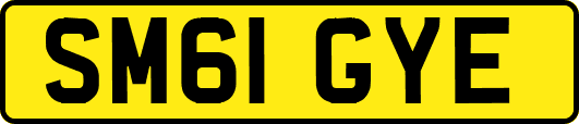 SM61GYE