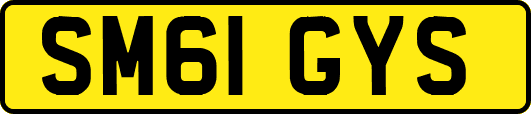 SM61GYS