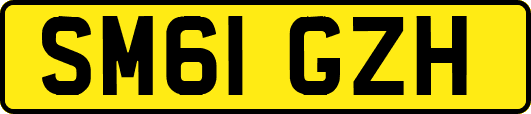 SM61GZH