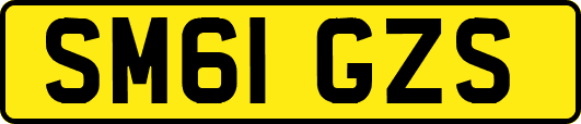 SM61GZS