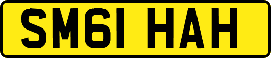 SM61HAH