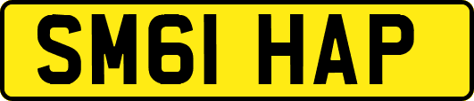 SM61HAP