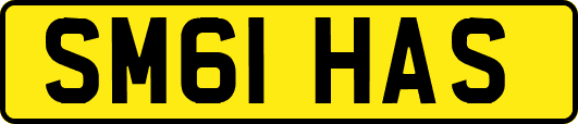 SM61HAS