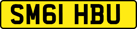 SM61HBU