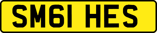 SM61HES