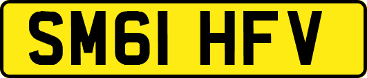 SM61HFV