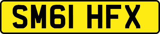 SM61HFX