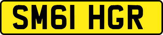 SM61HGR