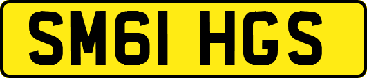 SM61HGS