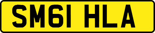 SM61HLA