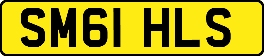 SM61HLS