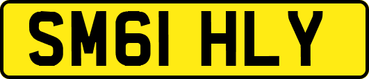 SM61HLY